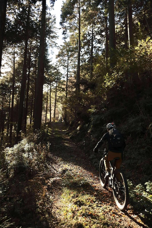 丹沢アウトドアオープンゲート