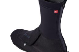 パールイズミ2025プレミアム サミット