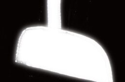 パールイズミ2025プレミアム サミット