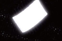 パールイズミ2025プレミアム サミット