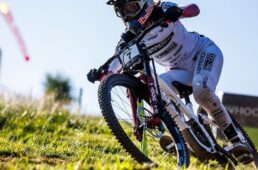 シンセシスアロイ2.0