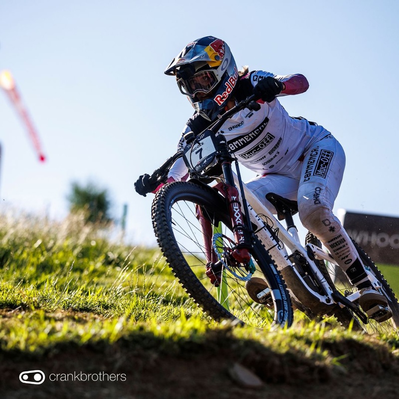 ブリッツユニコルノ 新しいものだらけの季節に | ブローチャーズ - BROTURES ONLINE