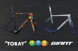 ジャイアント　愛媛県松前町のふるさと納税返礼品