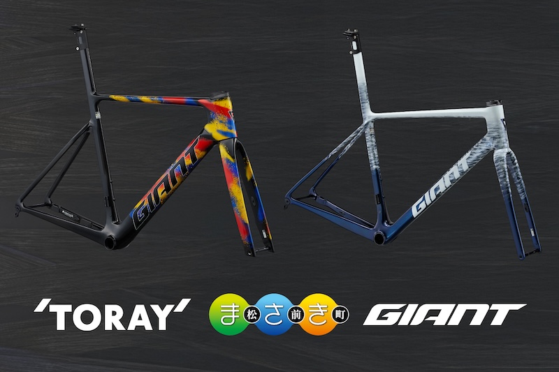 ジャイアント　愛媛県松前町のふるさと納税返礼品