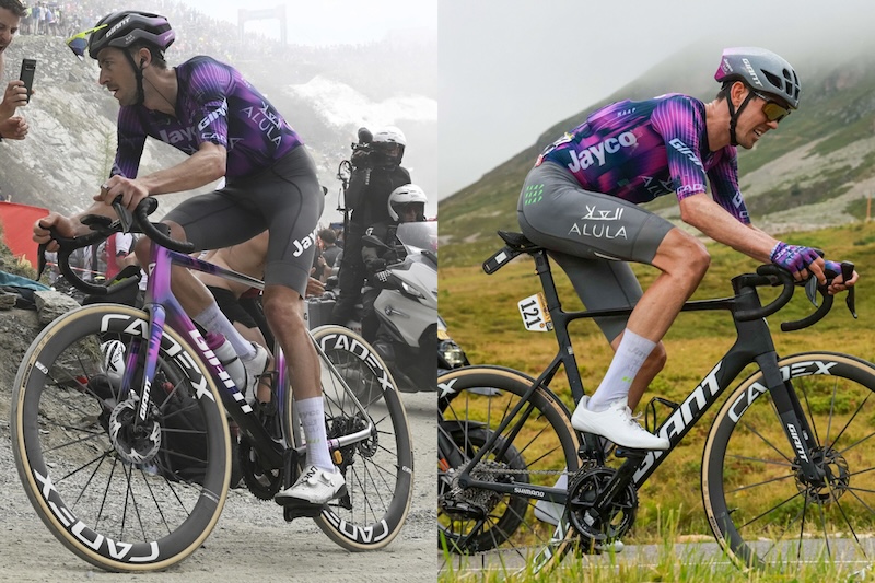 ジャイアント　愛媛県松前町のふるさと納税返礼品