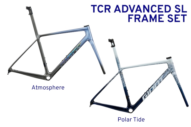 ジャイアント　愛媛県松前町のふるさと納税返礼品