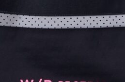 パールイズミ2025プレミアム サミット