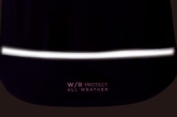 パールイズミ2025プレミアム サミット