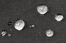 パールイズミ2025プレミアム サミット