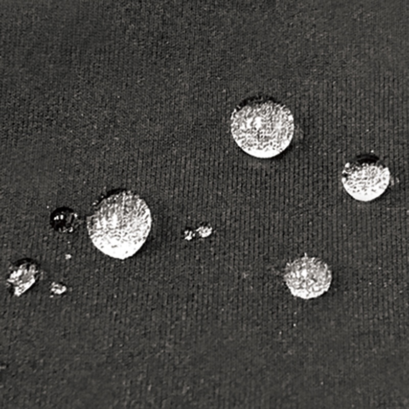 パールイズミ2025プレミアム サミット