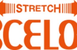 ストレッチ エクセロフト