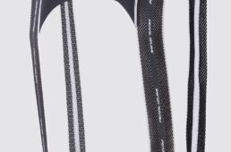 パールイズミ2025プレミアム サミット