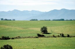 十勝アンパントグラベル