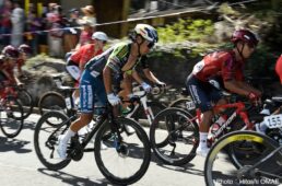 新城幸也　ツール・ド・九州2025 第1ステージ