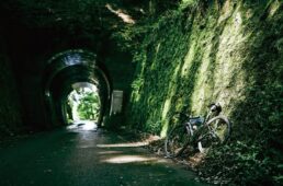 ライド時に撮影した写真