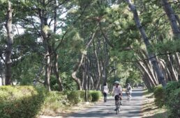 大井ふ頭の緑道公園