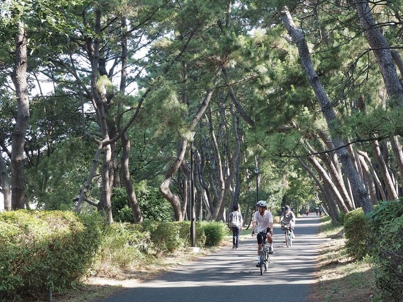 大井ふ頭の緑道公園