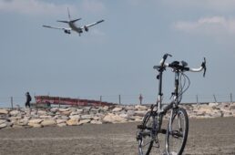 城南島海浜公園のつばさ浜