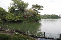 洗足池公園