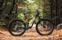 Liv ピーク アドバンスド SL