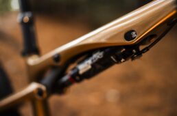 Liv ピーク アドバンスド SL