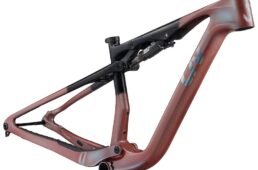 Liv ピーク アドバンスド SL