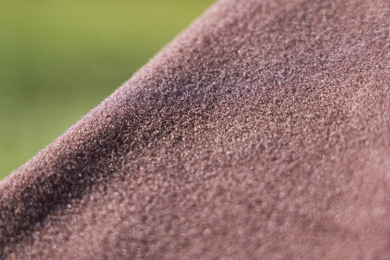 エチェオンド2025秋冬