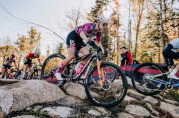 Liv ピーク アドバンスド SL