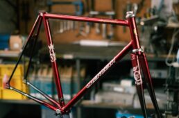 ケルビム　競輪・嘉永泰斗