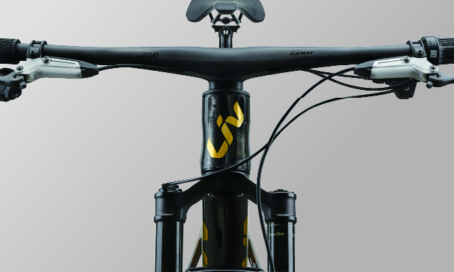 Liv ピーク アドバンスド SL