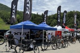 ENSエクスペリエンス