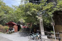 自転車協会　佐野淳哉