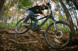 ダウンヒルシリーズ2025 第8戦