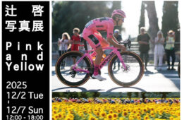 ピンクアンドイエロー