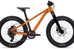 ジャイアント　STP