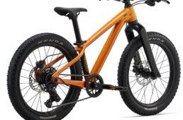 ジャイアント　STP