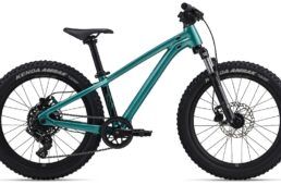 ジャイアント　STP