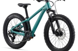 ジャイアント　STP