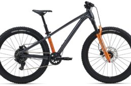 ジャイアント　STP