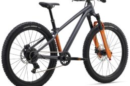 ジャイアント　STP