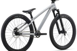 ジャイアント　STP