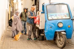 ニャンクルスポーツ2026カレンダー