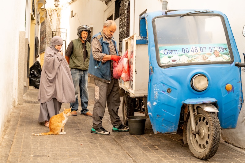 ニャンクルスポーツ2026カレンダー