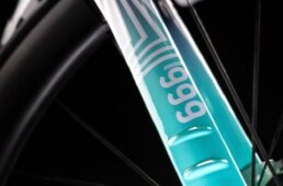 ビアンキ × バーレーン ヴィクトリアス