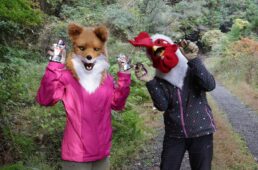 松野四万十バイクレース2025