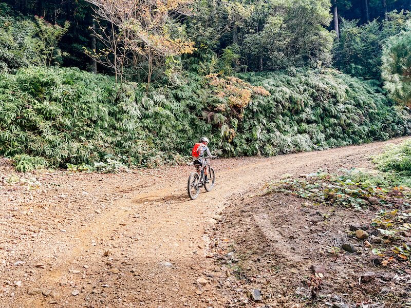 松野四万十バイクレース2025
