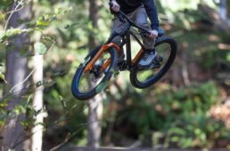 ジャイアント　STP