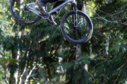 ジャイアント　STP