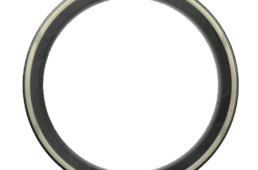 ピレリ・PゼロレースRS／Pゼロレース