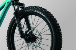 ジャイアント　STP